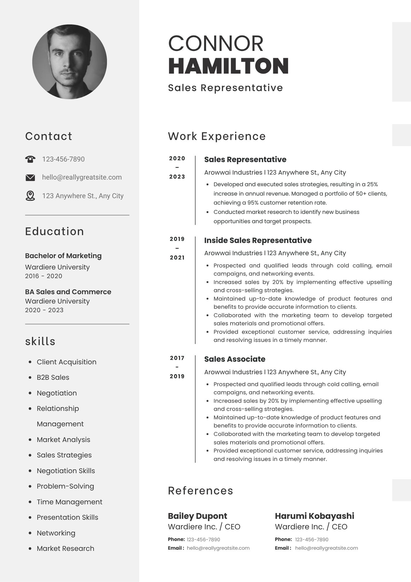 Executive CV Template Preview